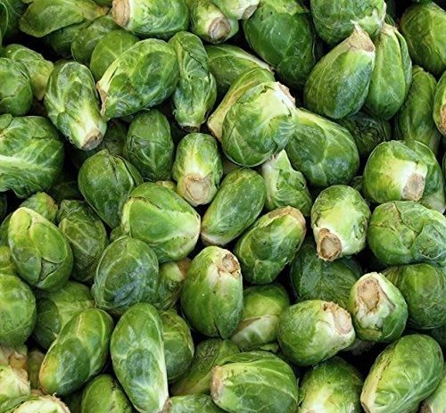 Nema organic brussels sprouts seeds