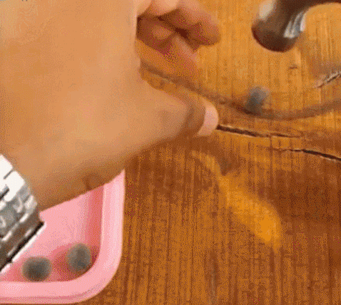 Lotus Flower Seeds For Home Garden Planting